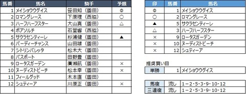20191031園田12R