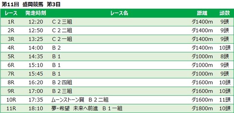 20221115盛岡競馬レース一覧