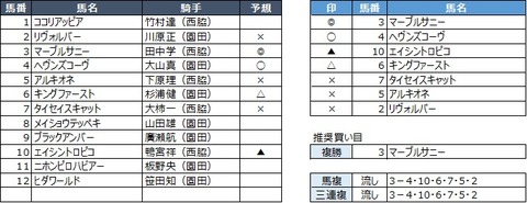 20191030園田12R