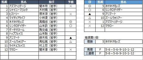 20221129水沢9R