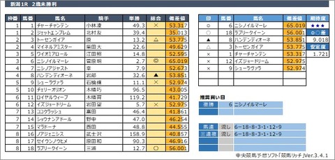 20200802新潟1R