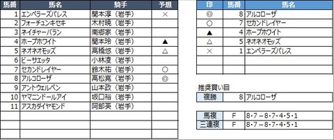 20230313水沢8R