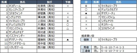 20200216高知11R