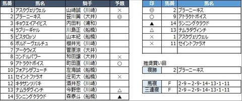20210419川崎9R
