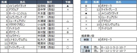 20191031園田8R