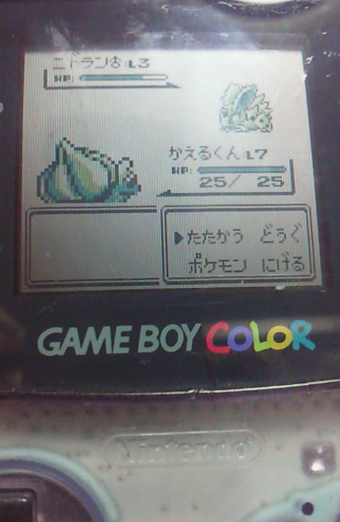 ポケモン緑 昔のグッズなど りおのゲーム部屋
