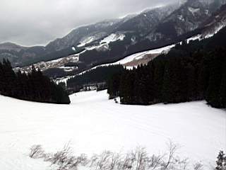 82b34901.jpg