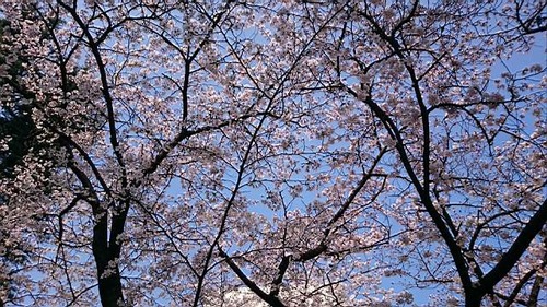 TN_DSC_0006