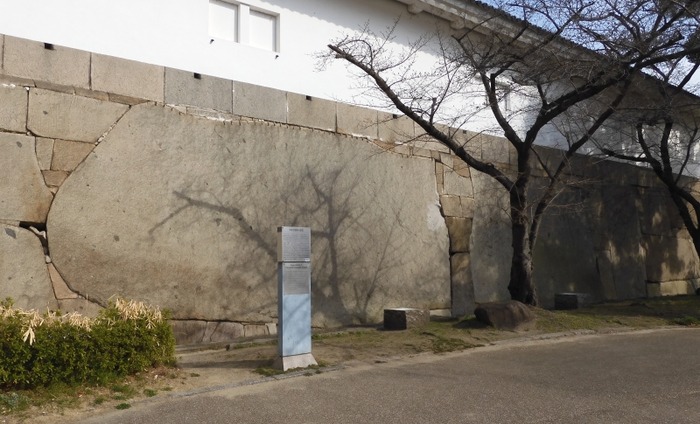 basi45