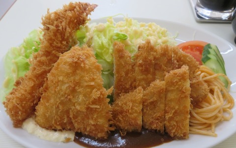 nakaji04