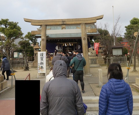 hatu20