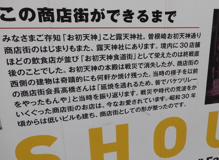 hatu19