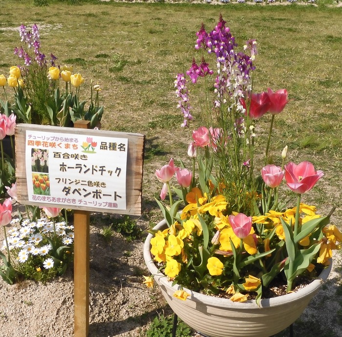 kei40