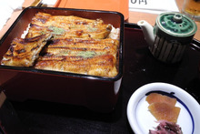 d54dc7d0.jpg
