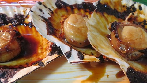 lunch342