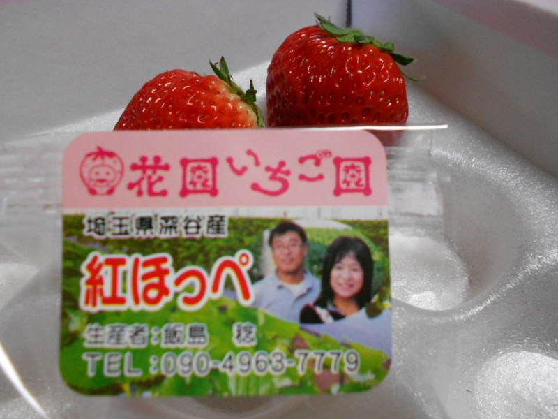 01fd41a6.jpg
