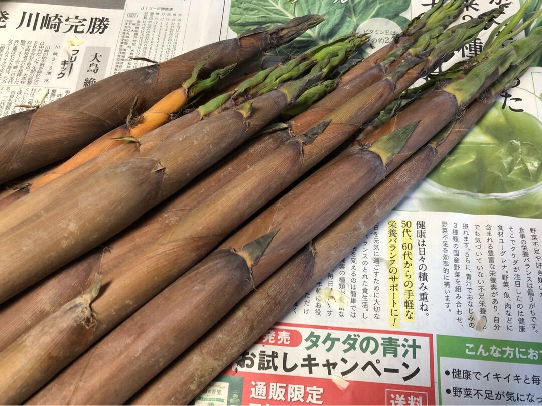 初物 筍 細い筍なんだけど名前は忘れちゃった 野球小僧10年間のお弁当 A 初物 筍 細い筍なんだけど名前は忘れちゃった 野球小僧10年間のお弁当 A
