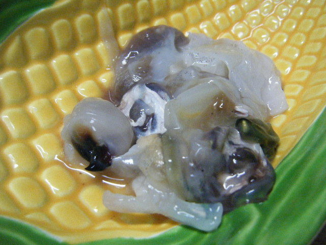 0f2807d6.jpg