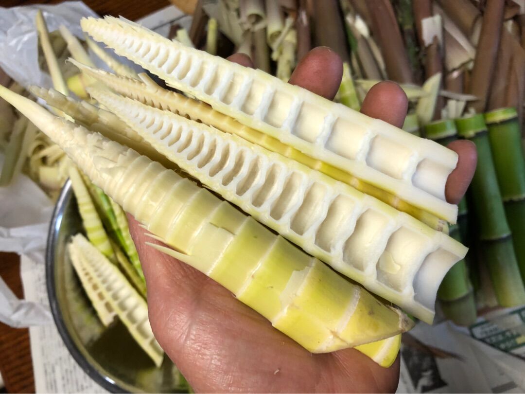 初物 筍 細い筍なんだけど名前は忘れちゃった 野球小僧10年間のお弁当 初物 筍 細い筍なんだけど名前は忘れちゃった 野球小僧10年間のお弁当