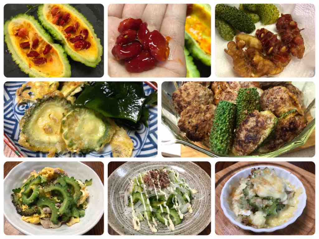 ゴーヤは全部食べれま す ゴーヤの食べ方7つご紹介 野球小僧10年間のお弁当 ゴーヤは全部食べれま す ゴーヤの食べ方7つご紹介 野球小僧10年間のお弁当