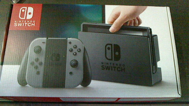 Nintendo Switch グレー　新品未開封 Nintendo Switch グレー 本体 今だけ特価