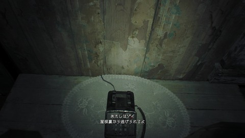 vlcsnap-00060
