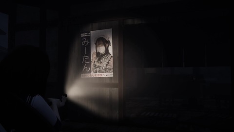 vlcsnap-00005