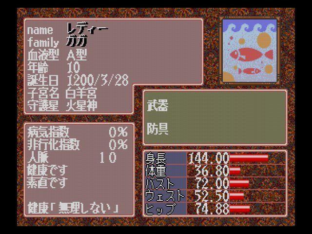 ＳＣＤ　プリンセスメーカー２ PC-98用プリンセスメーカー2 : Gainax : Free Download, Borrow