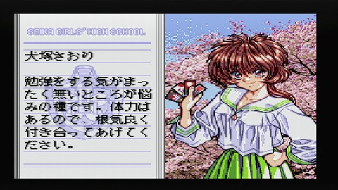 vlcsnap-00006