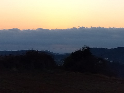 IMG_2026-01-01-06-58-22-065