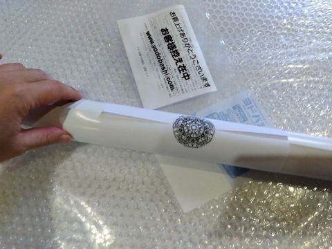 IMG_2023-07-30-11-46-24-313