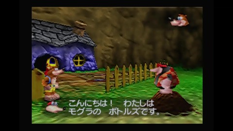vlcsnap-00011