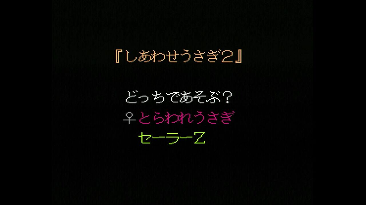 PCエンジン】しあわせうさぎⅡ とらわれうさぎ セーラーZ : だん