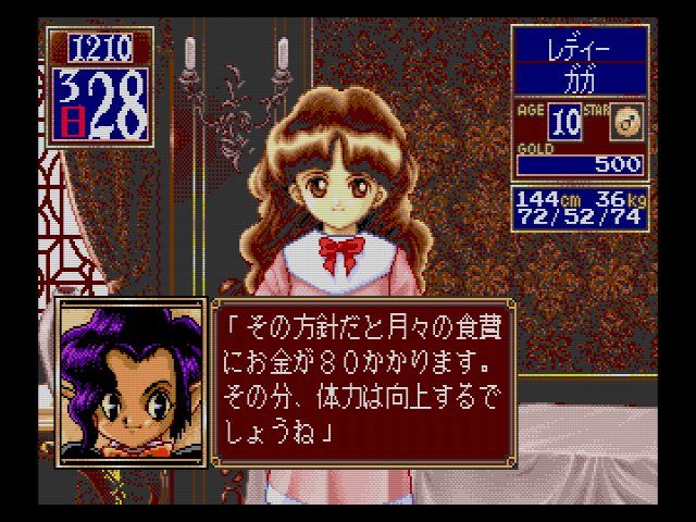 SCD】プリンセスメーカー2【ACカード対応】 : だんぼーるはうす