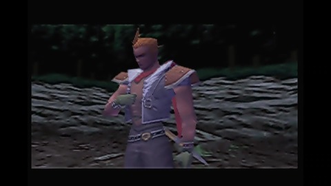 vlcsnap-00005