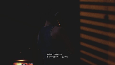 vlcsnap-00011