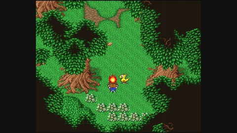 だんぼーるはうすinブログ ジャンル別