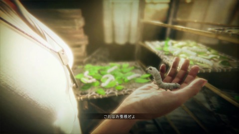 vlcsnap-00029