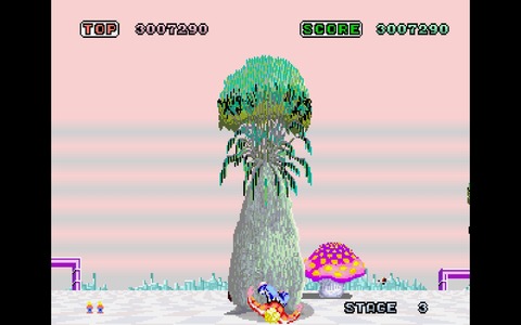 WS000017