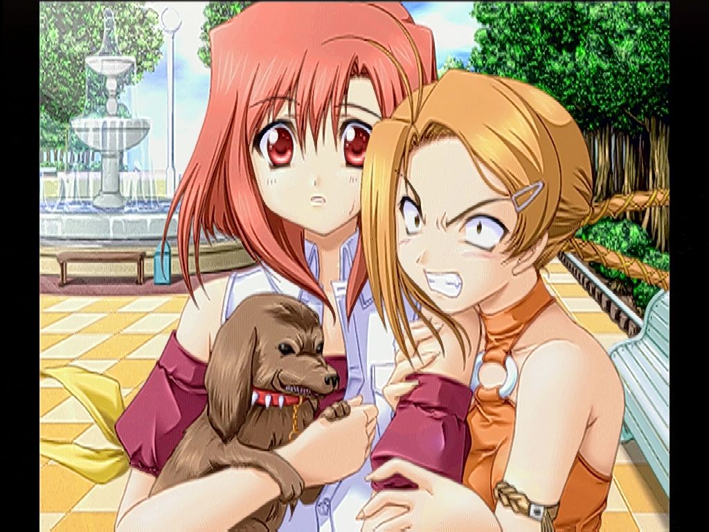 Ｄｃ】すい～とし～ずん : だんぼーるはうすInブログ