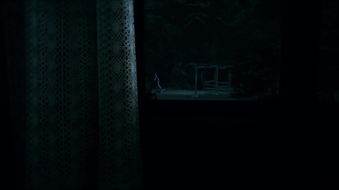 vlcsnap-00042