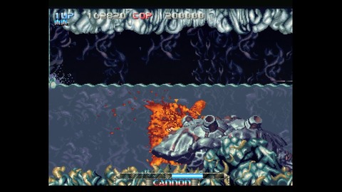 vlcsnap-00022