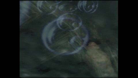 vlcsnap-00035