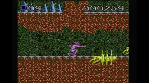 vlcsnap-00012