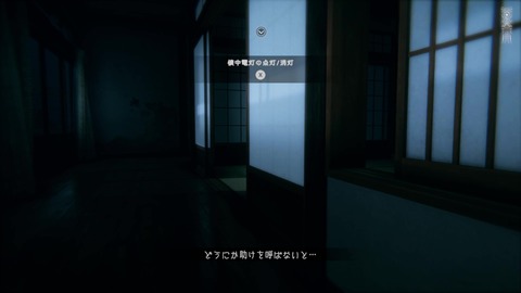 vlcsnap-00047