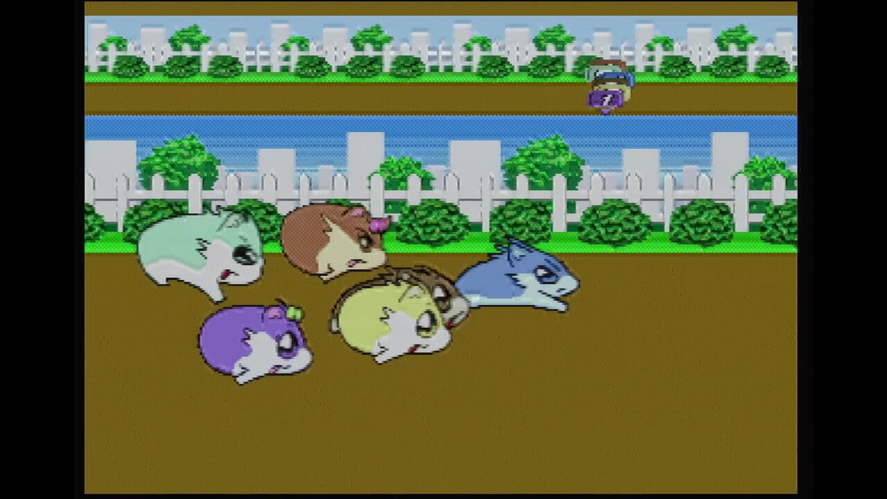 N64】ハムスター物語64 : だんぼーるはうすinブログ