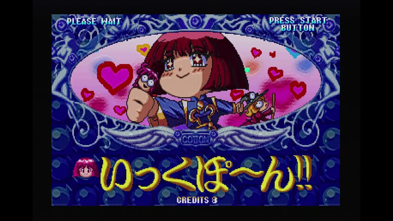 SS】コットン2 : だんぼーるはうすinブログ