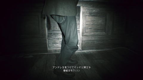vlcsnap-00030