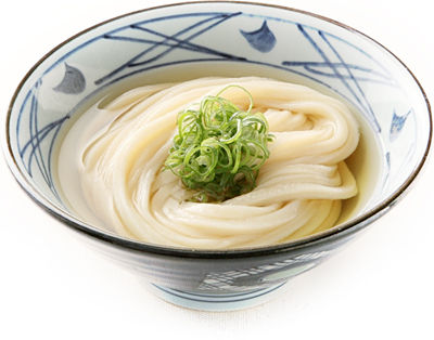 photo_udon_kake