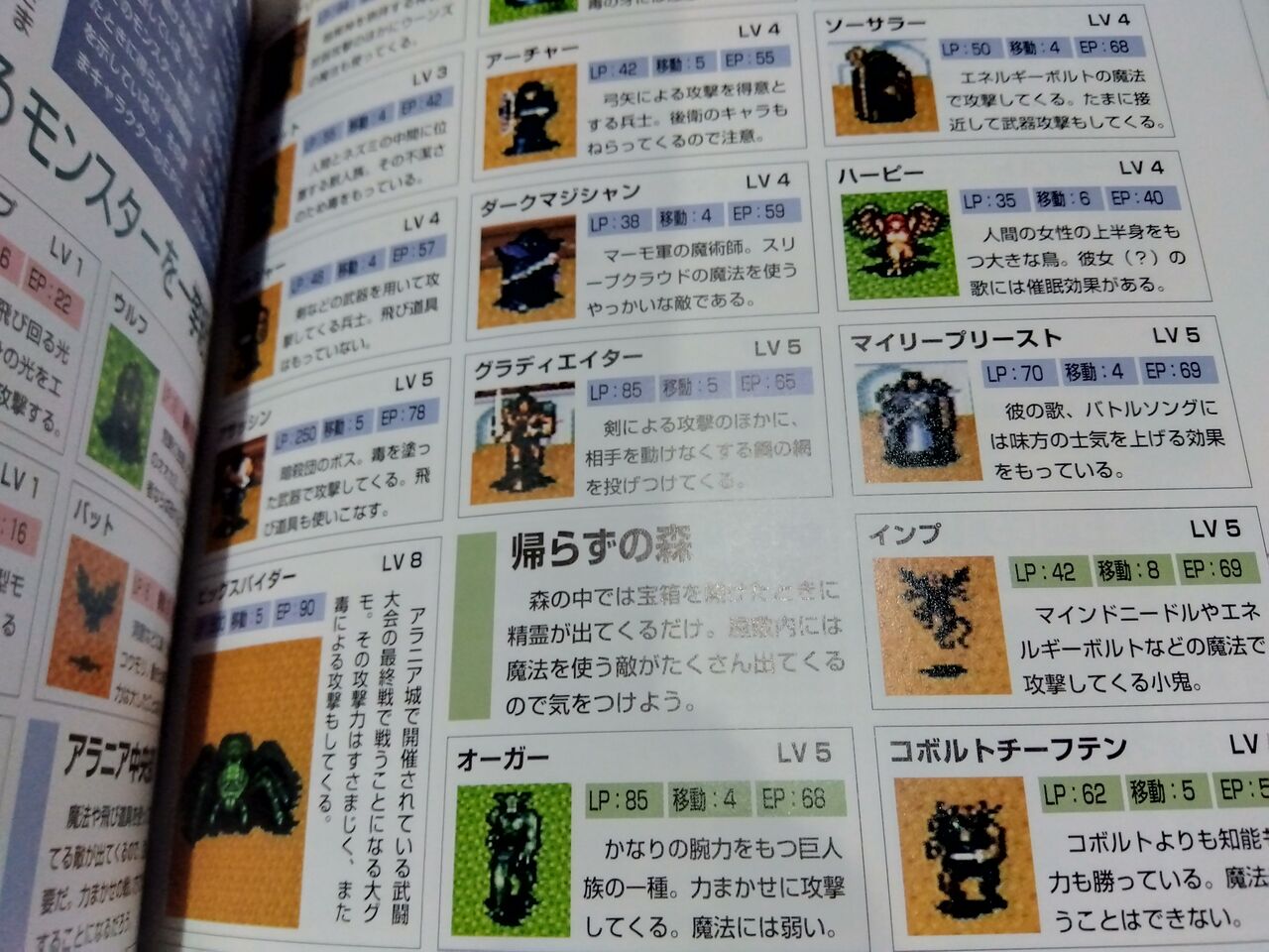 Amazon.co.jp: PCエンジン&メガCD ロードス島戦記 体験版2冊＋